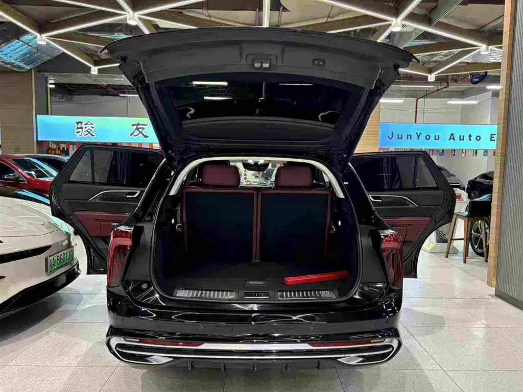 Hongqi Hongqi E-HS9 — фото 18