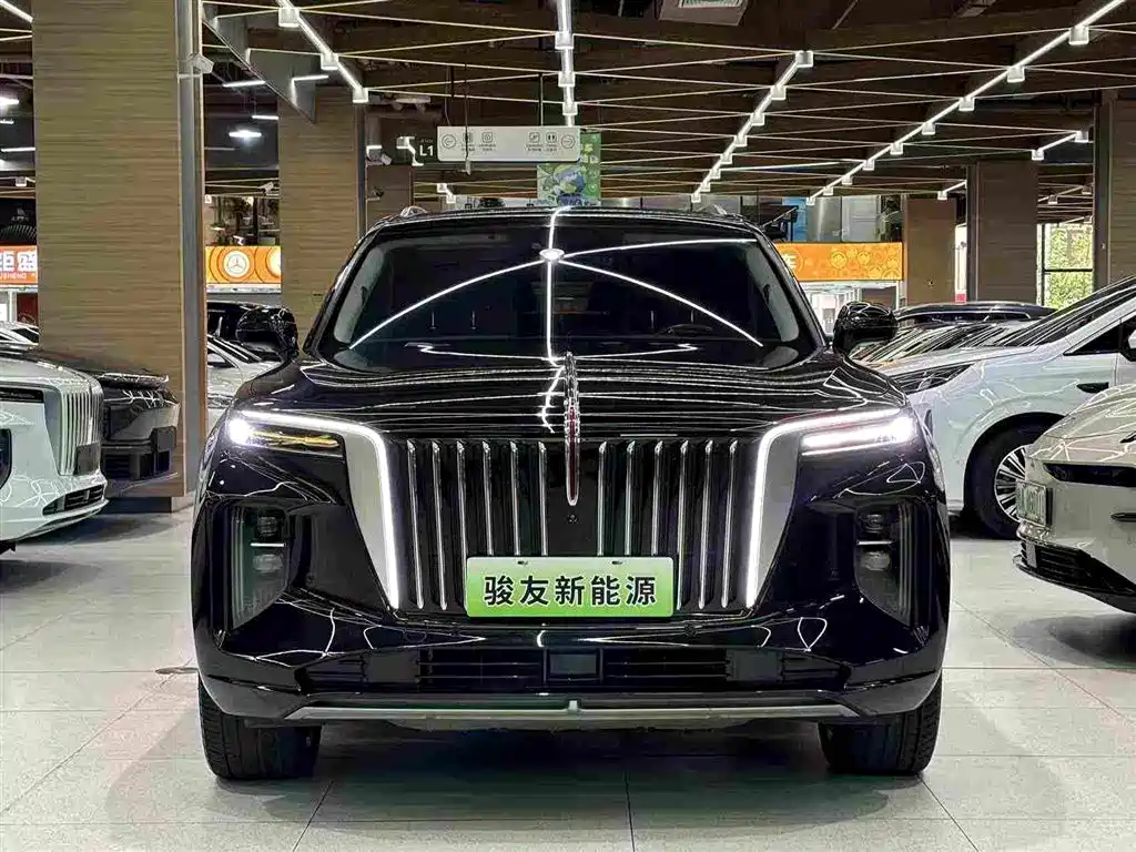 Hongqi Hongqi E-HS9 — фото 10