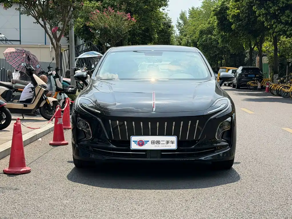 Hongqi Hongqi E-QM5 — фото 2