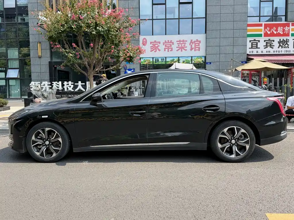 Hongqi Hongqi E-QM5 — фото 3