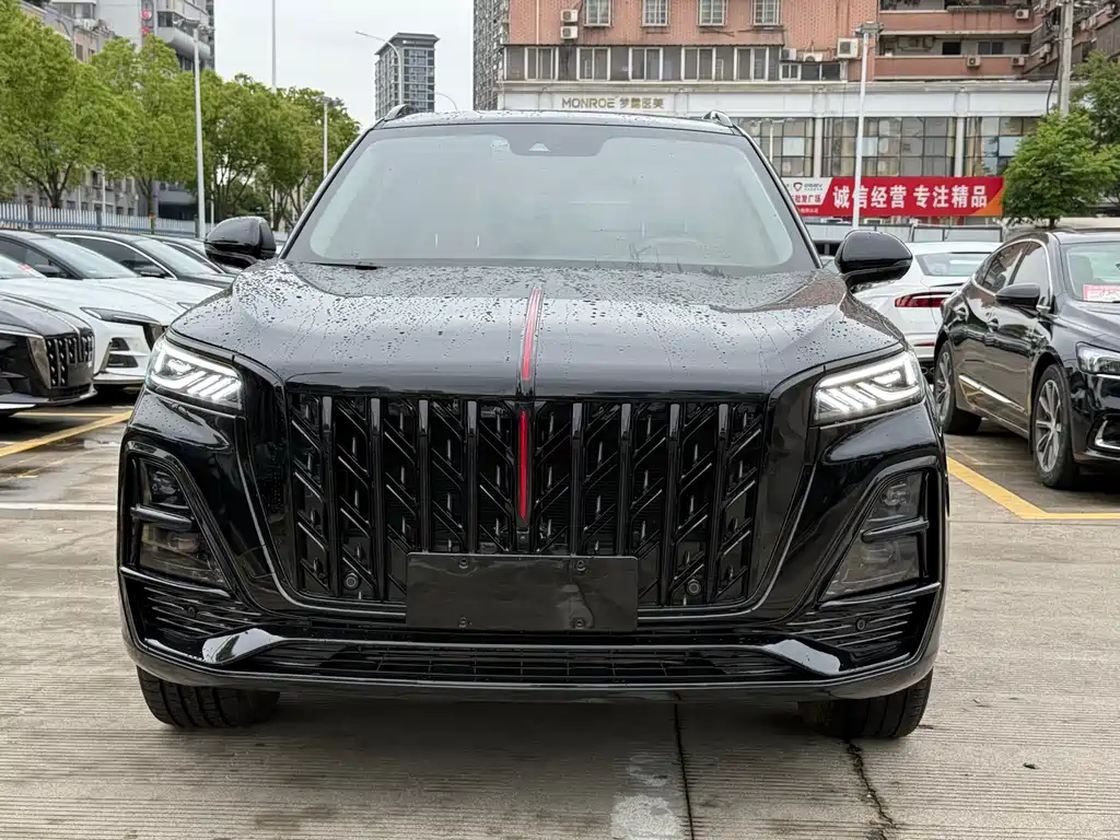 Hongqi Hongqi HS5 — фото 2