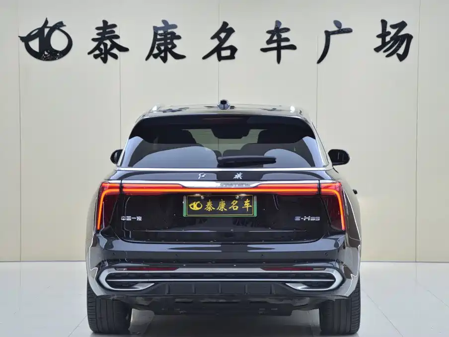 Hongqi Hongqi E-HS9 — фото 3