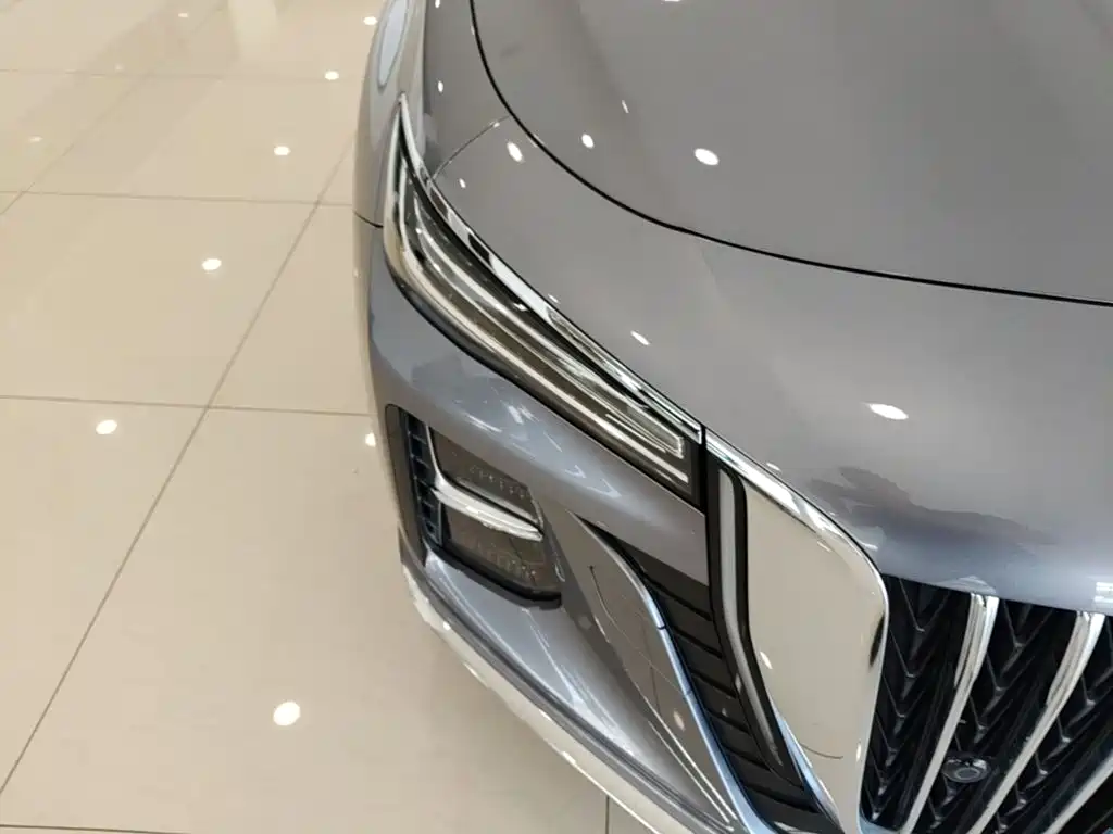 Hongqi Hongqi H5 — фото 11
