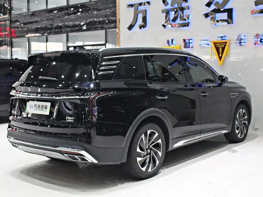 Hongqi Hongqi HS7 PHEV — фото 17