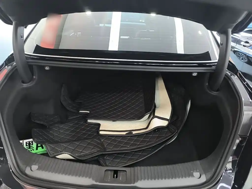 Hongqi Hongqi H5 PHEV — фото 19