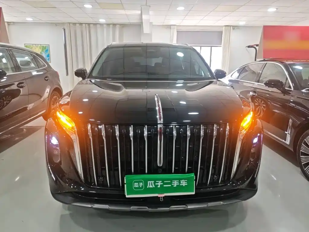 Hongqi Hongqi HS7 PHEV — фото 3