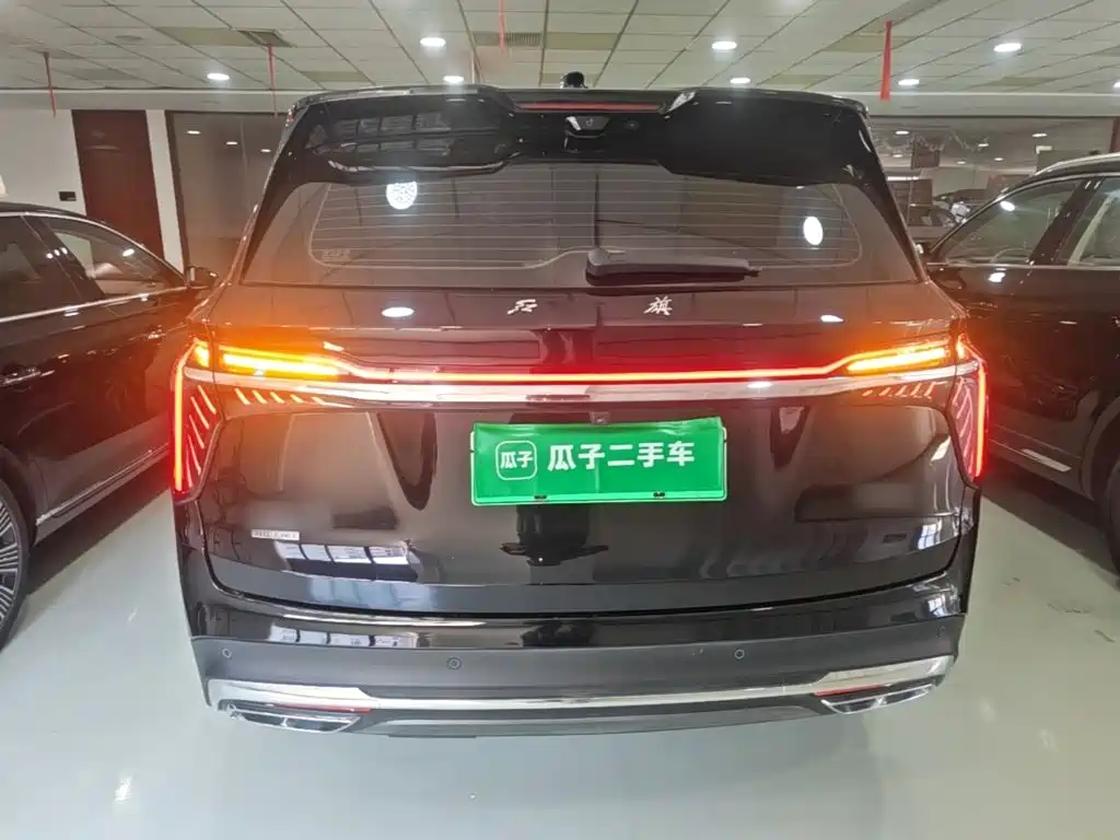 Hongqi Hongqi HS7 PHEV — фото 6