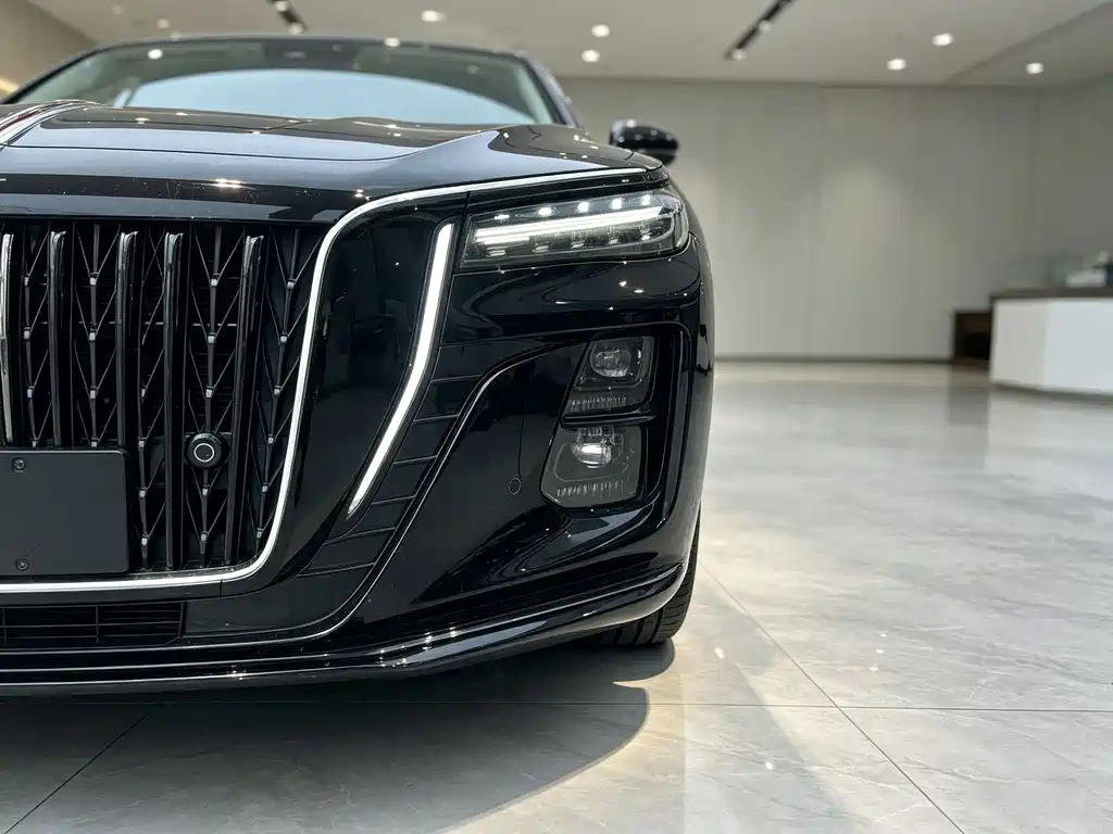 Hongqi Hongqi H5 — фото 15