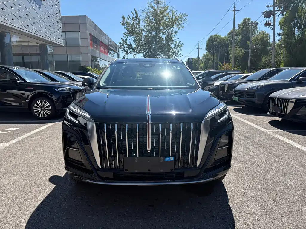 Hongqi Hongqi HS3 PHEV — фото 2
