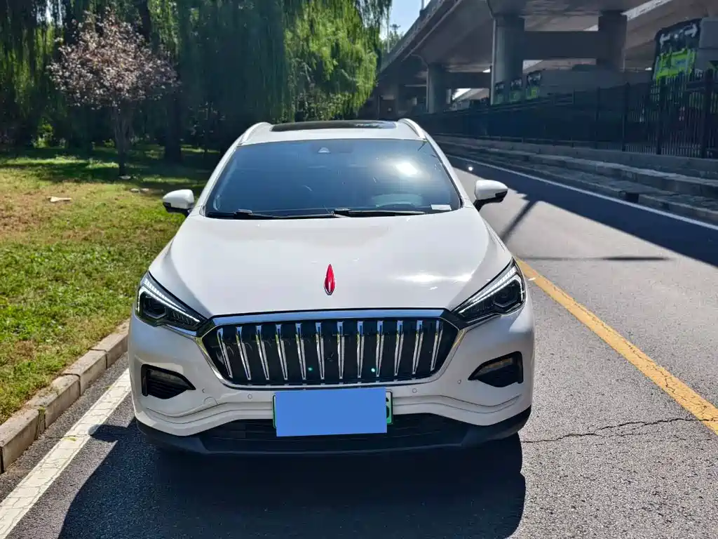 Hongqi Hongqi E-HS3 — фото 2