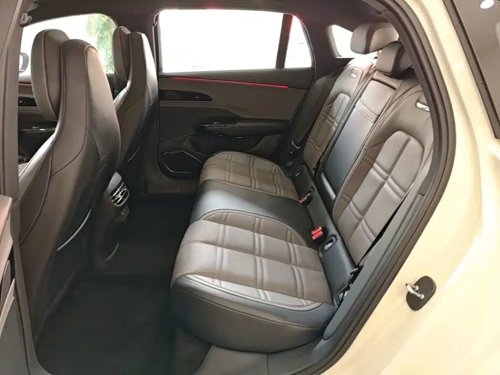Hongqi Hongqi EH7 — фото 17