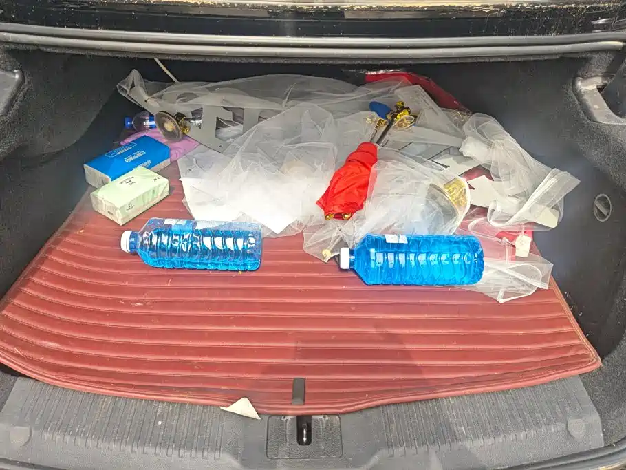 Hongqi Hongqi H9 — фото 4