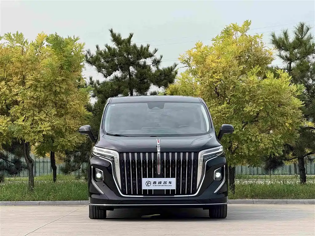 Hongqi Hongqi HQ9 — фото 2