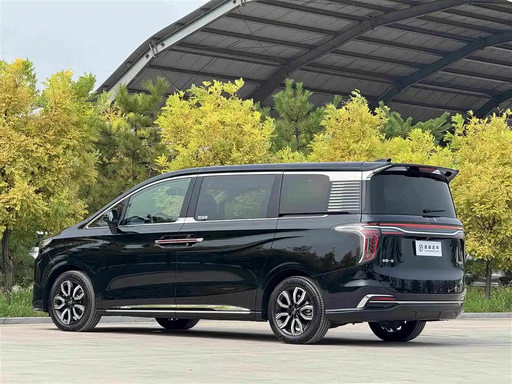 Hongqi Hongqi HQ9 — фото 27