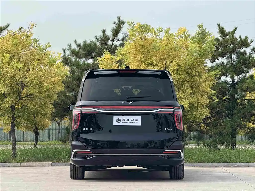 Hongqi Hongqi HQ9 — фото 28