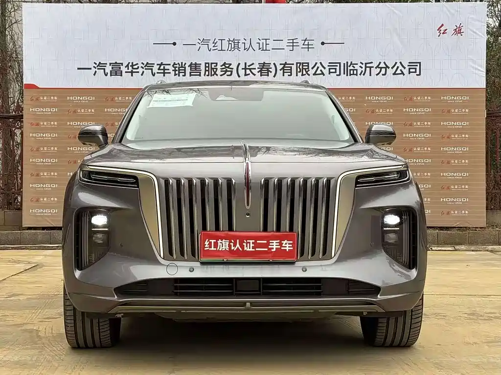 Hongqi Hongqi E-HS9 — фото 2