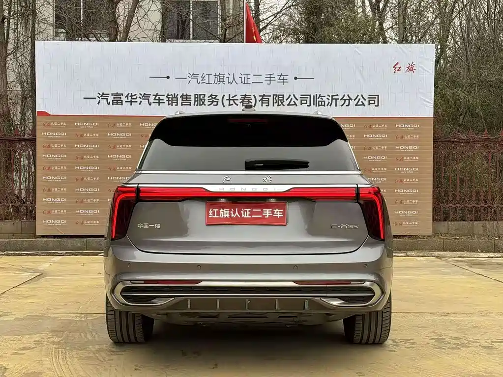 Hongqi Hongqi E-HS9 — фото 13