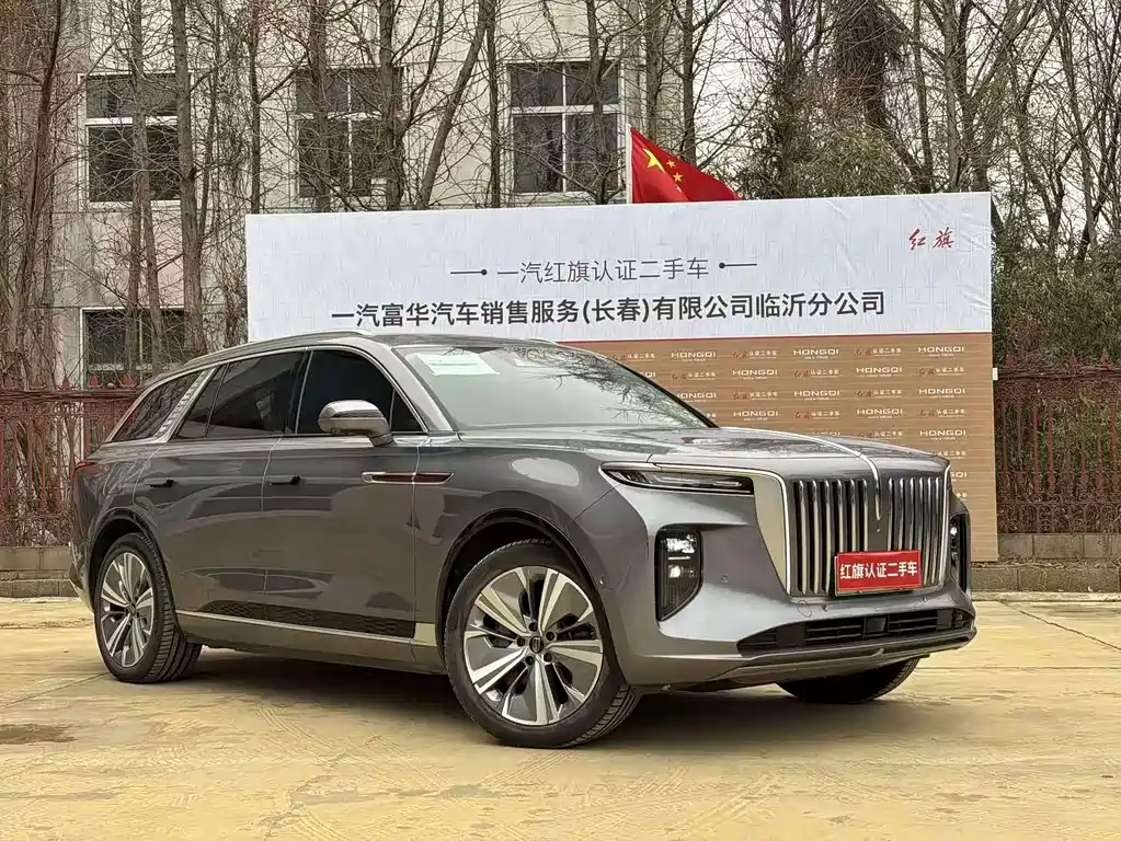 Hongqi Hongqi E-HS9 — фото 3