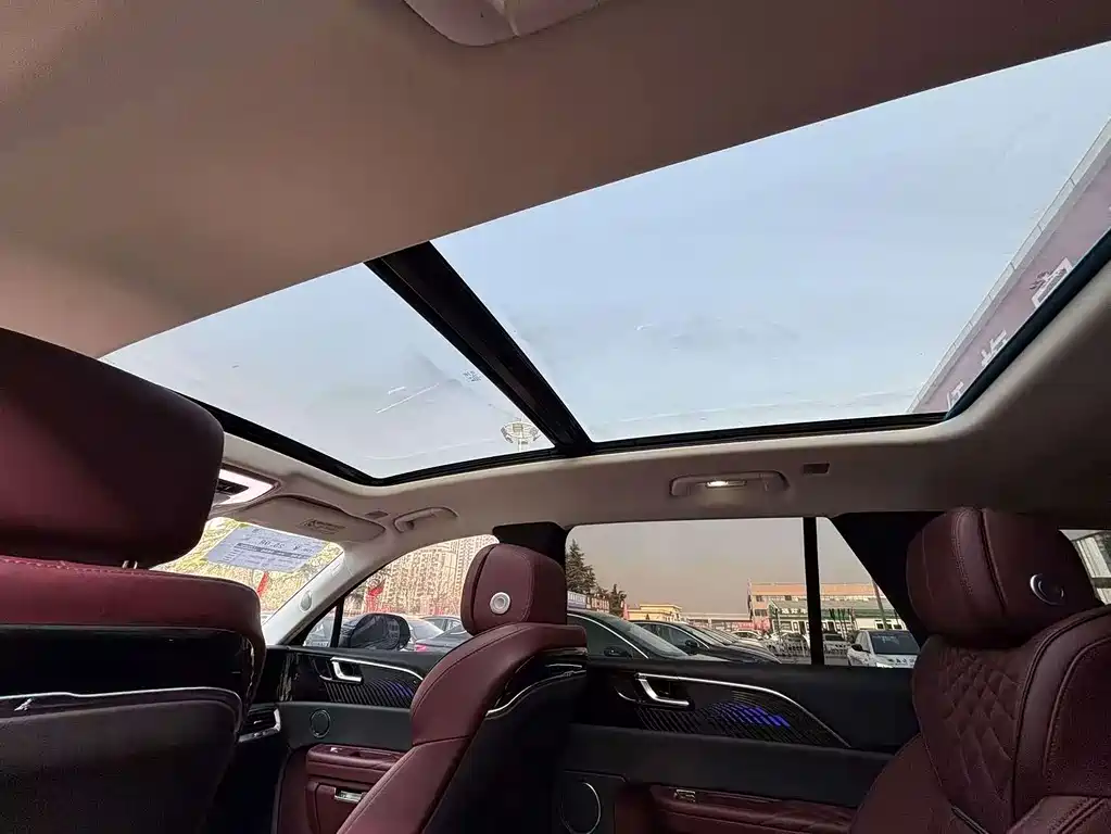 Hongqi Hongqi E-HS9 — фото 7