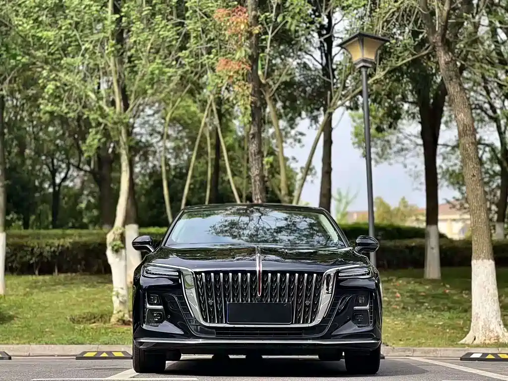 Hongqi Hongqi H5 — фото 2