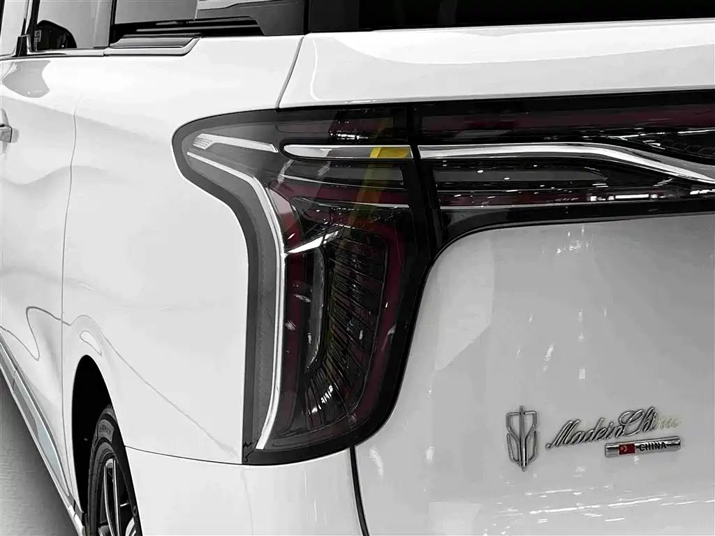 Hongqi Hongqi HQ9 — фото 9