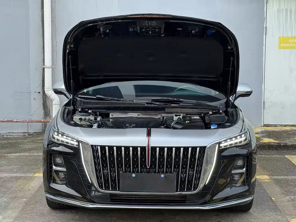 Hongqi Hongqi H5 — фото 11