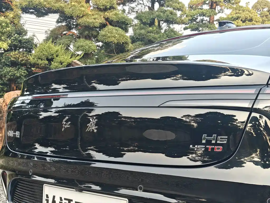Hongqi Hongqi H6 — фото 29