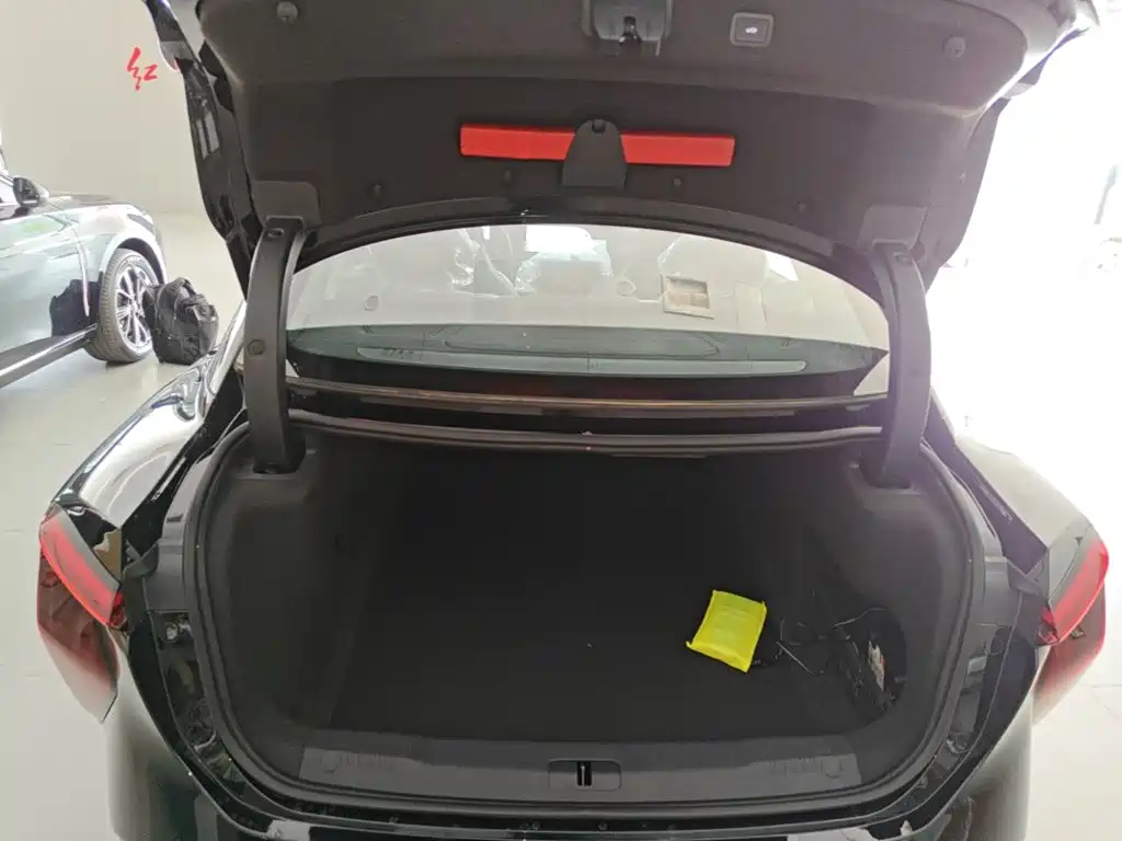 Hongqi Hongqi EH7 — фото 19