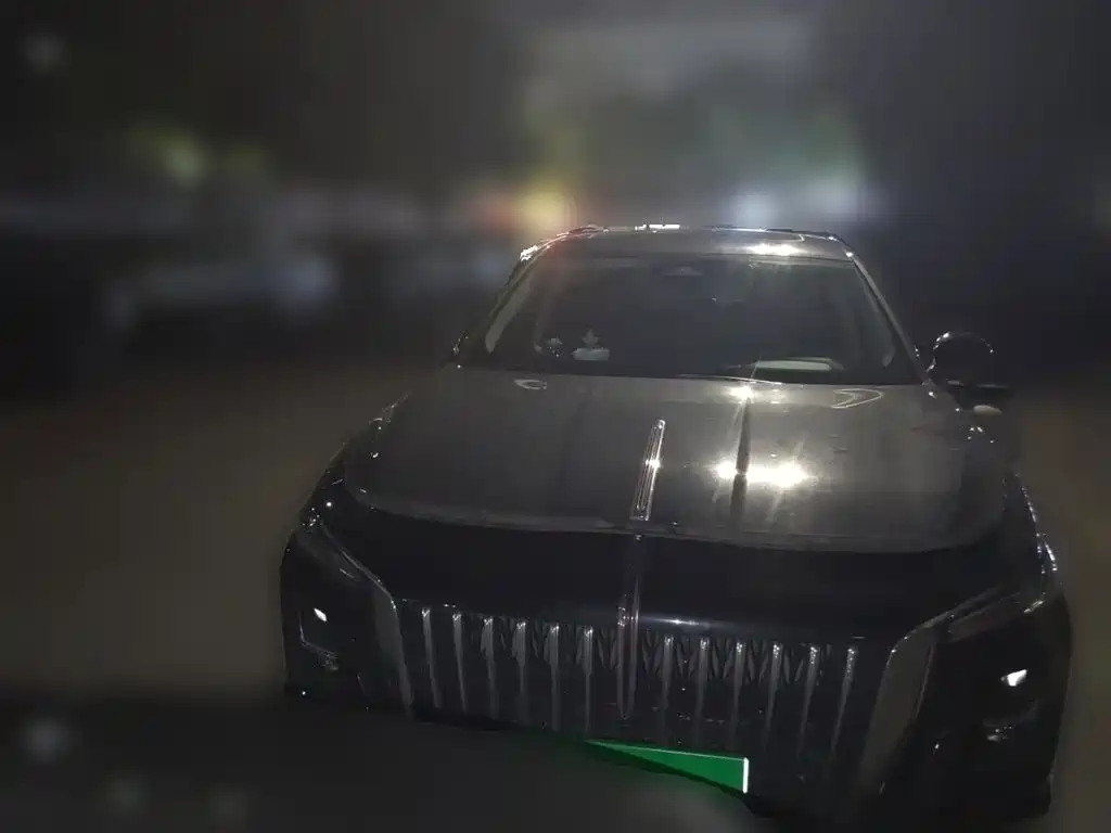 Hongqi Hongqi H5 — фото 23