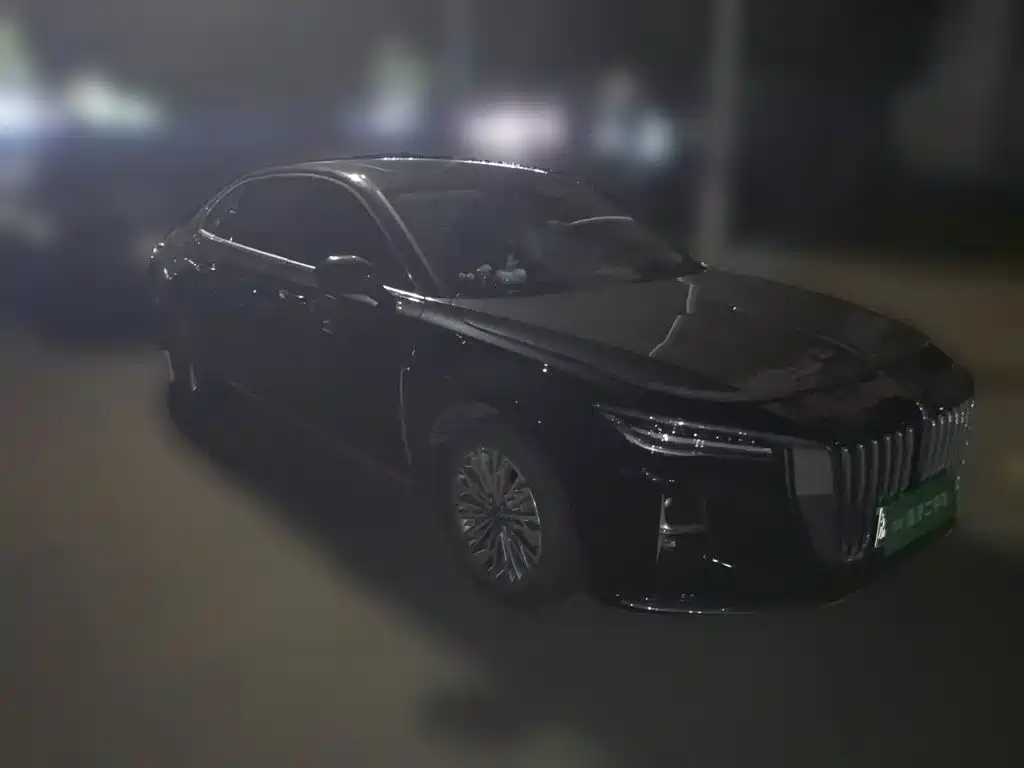 Hongqi Hongqi H5 — фото 24