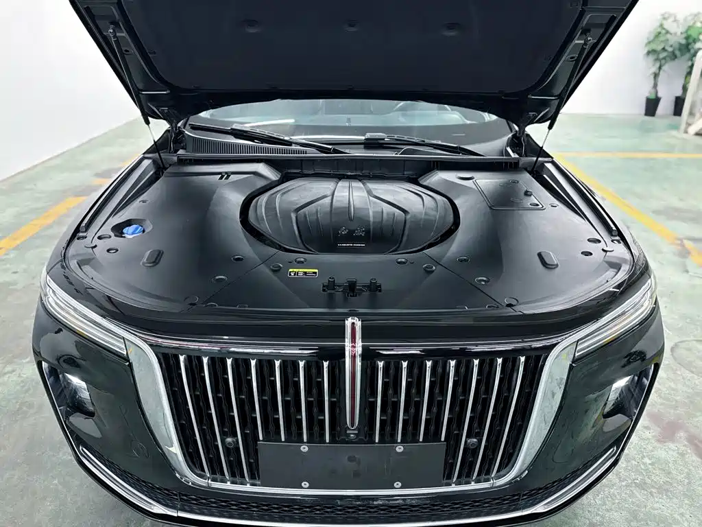 Hongqi Hongqi H9 — фото 18