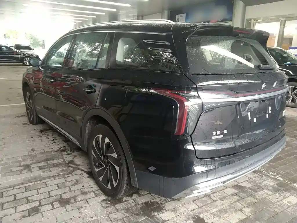 Hongqi Hongqi HS7 PHEV — фото 23