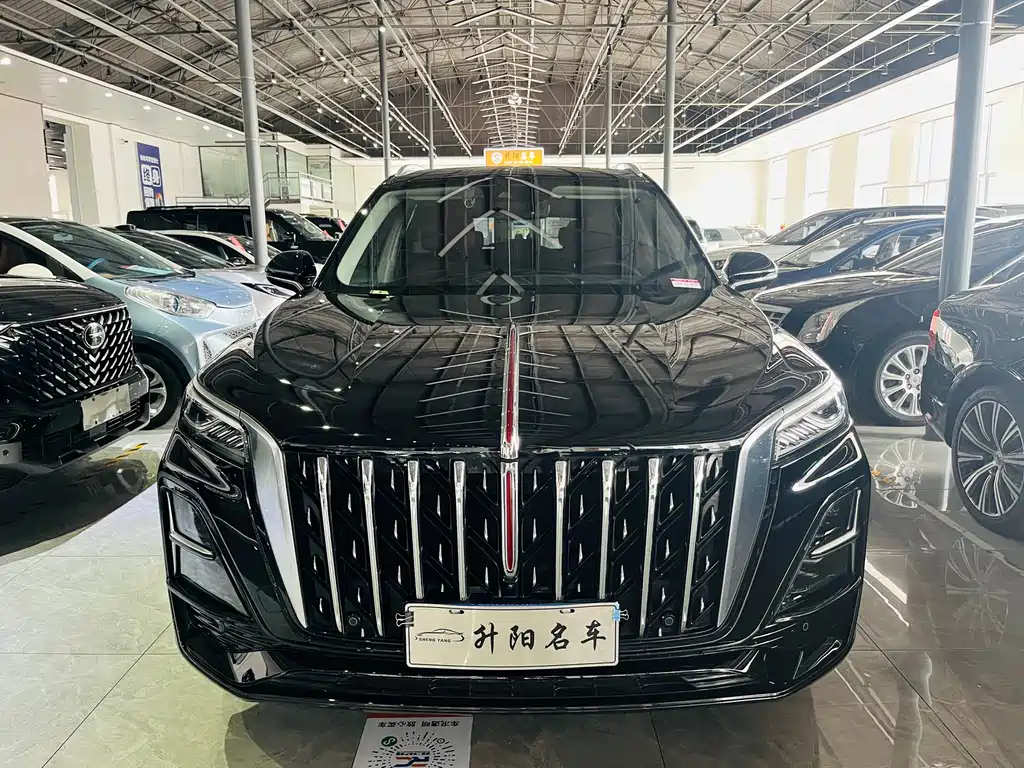 Hongqi Hongqi HS5 — фото 2