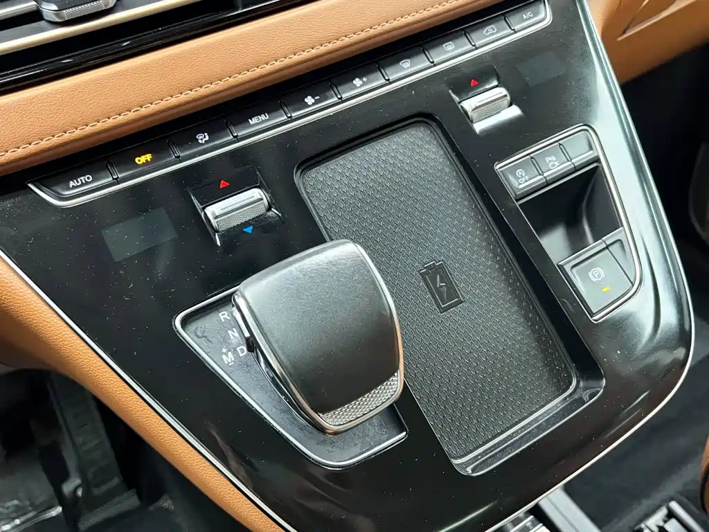Hongqi Hongqi HQ9 — фото 19