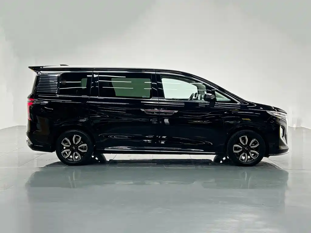 Hongqi Hongqi HQ9 — фото 7
