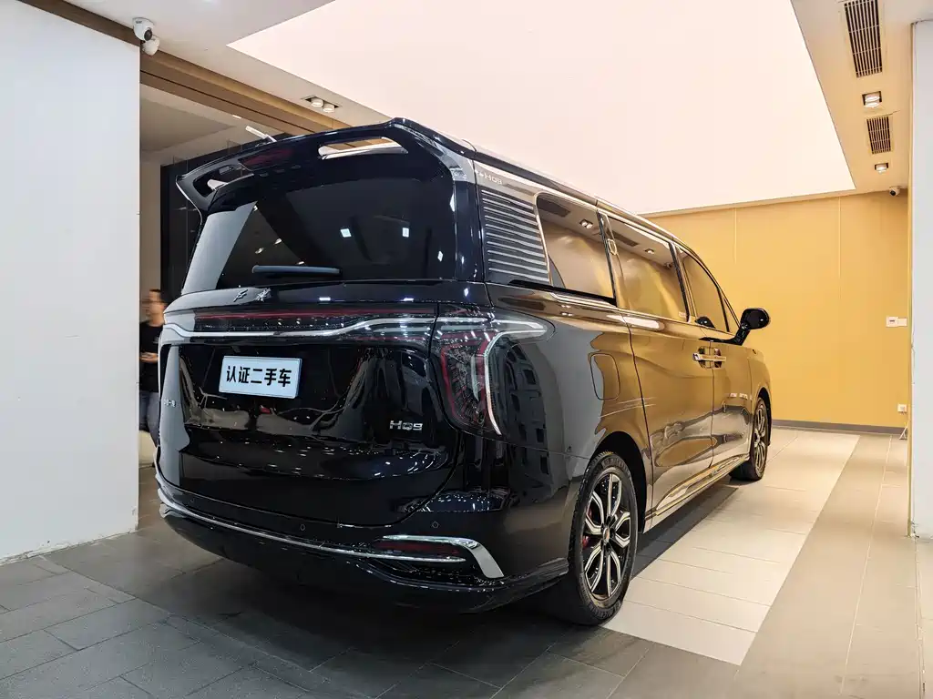Hongqi Hongqi HQ9 — фото 31