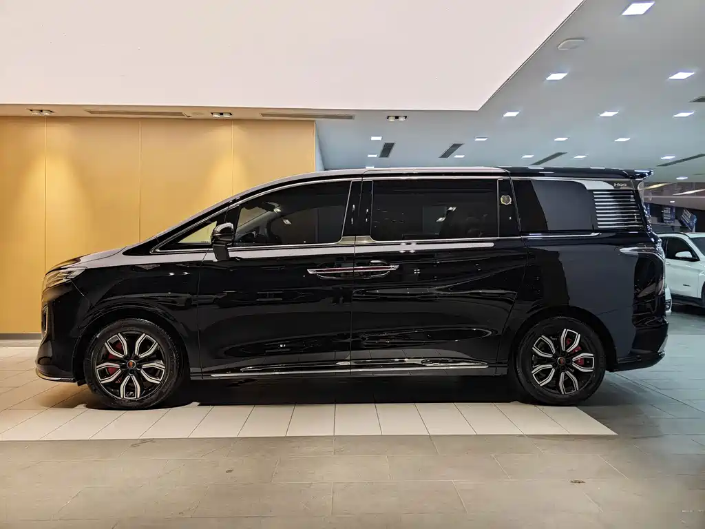 Hongqi Hongqi HQ9 — фото 6