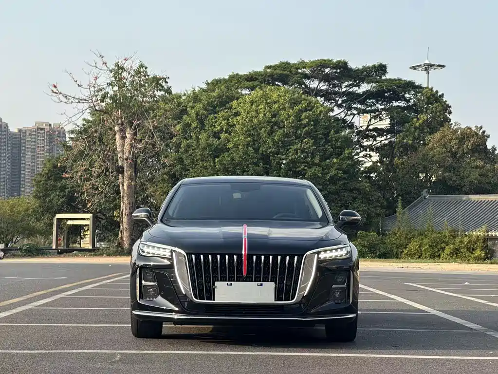 Hongqi Hongqi H5 — фото 2