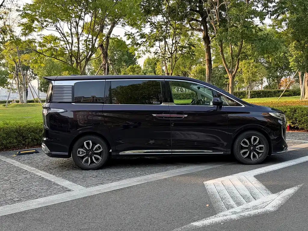 Hongqi Hongqi HQ9 — фото 3