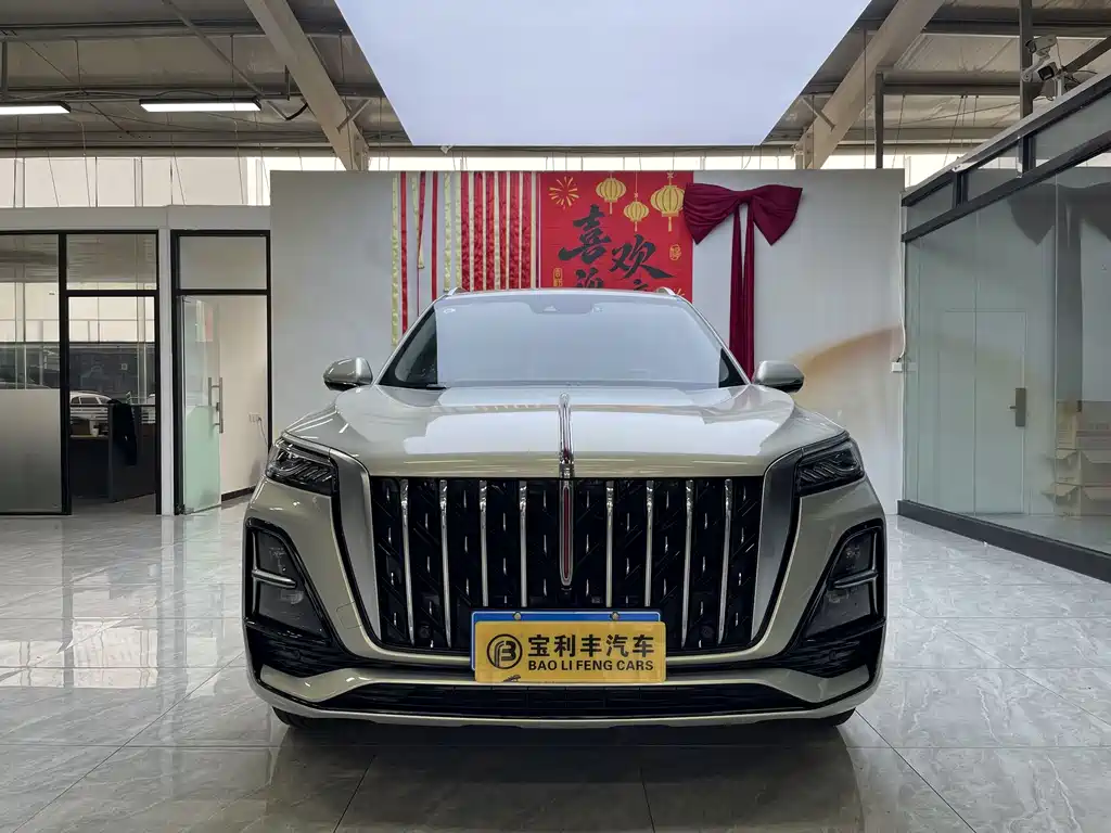 Hongqi Hongqi HS5 — фото 4