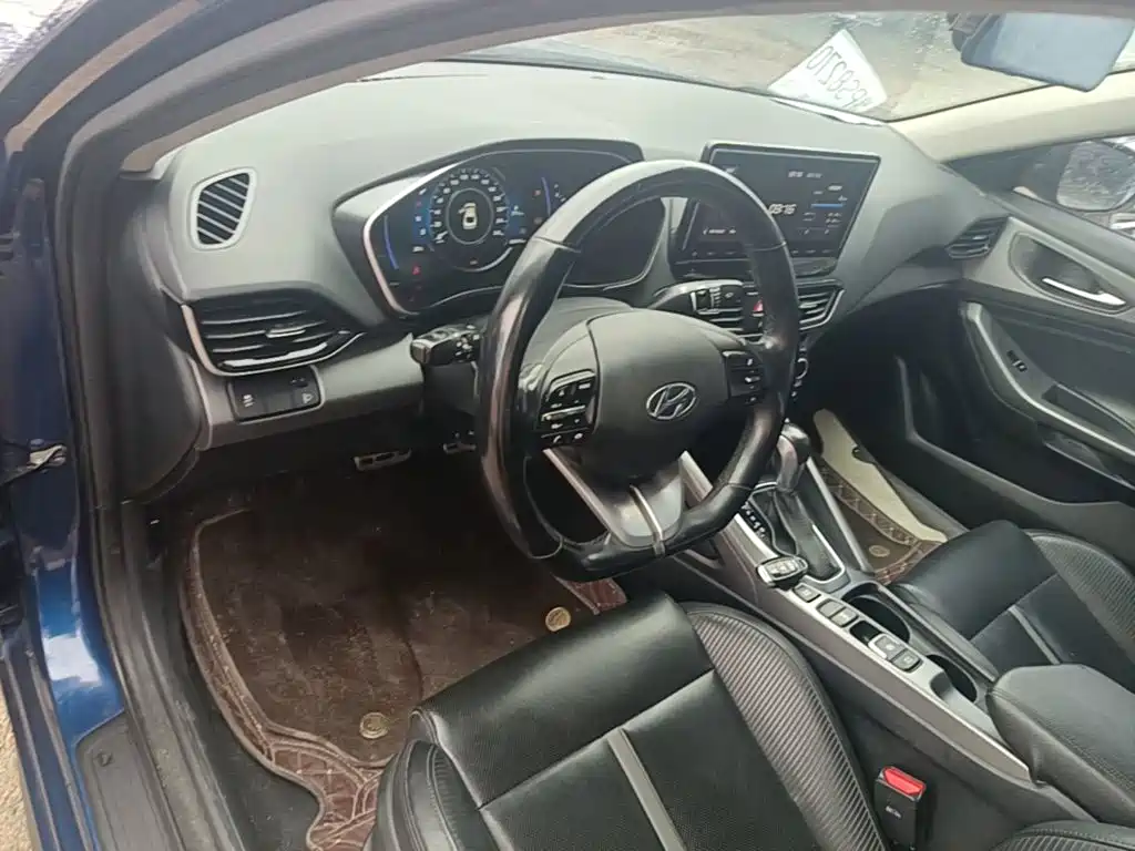 Hyundai Fista — фото 10