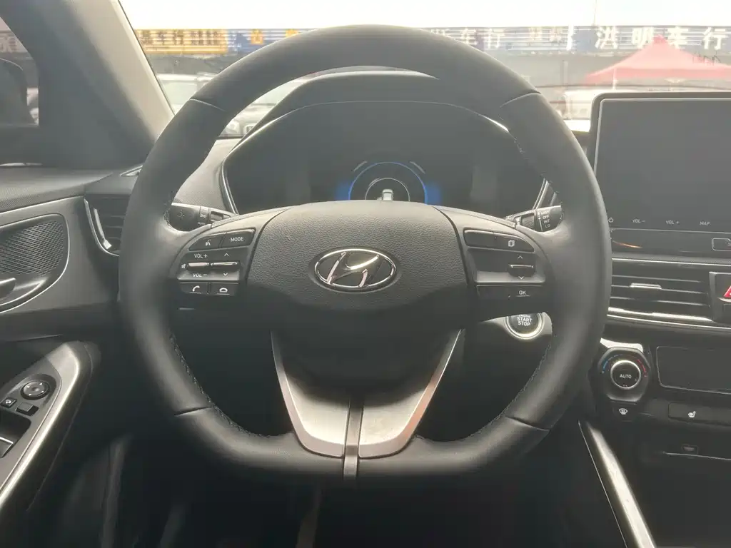 Hyundai Fista — фото 10
