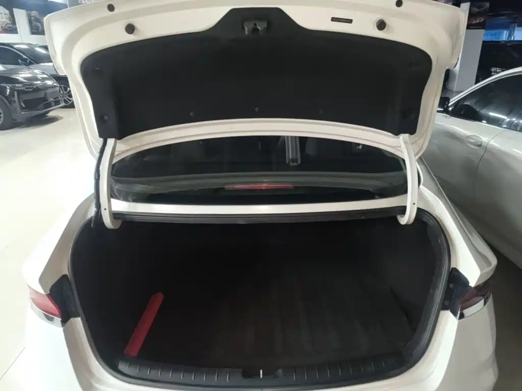 Hyundai Fista — фото 19
