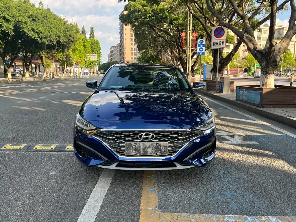 Hyundai Fista — фото 2