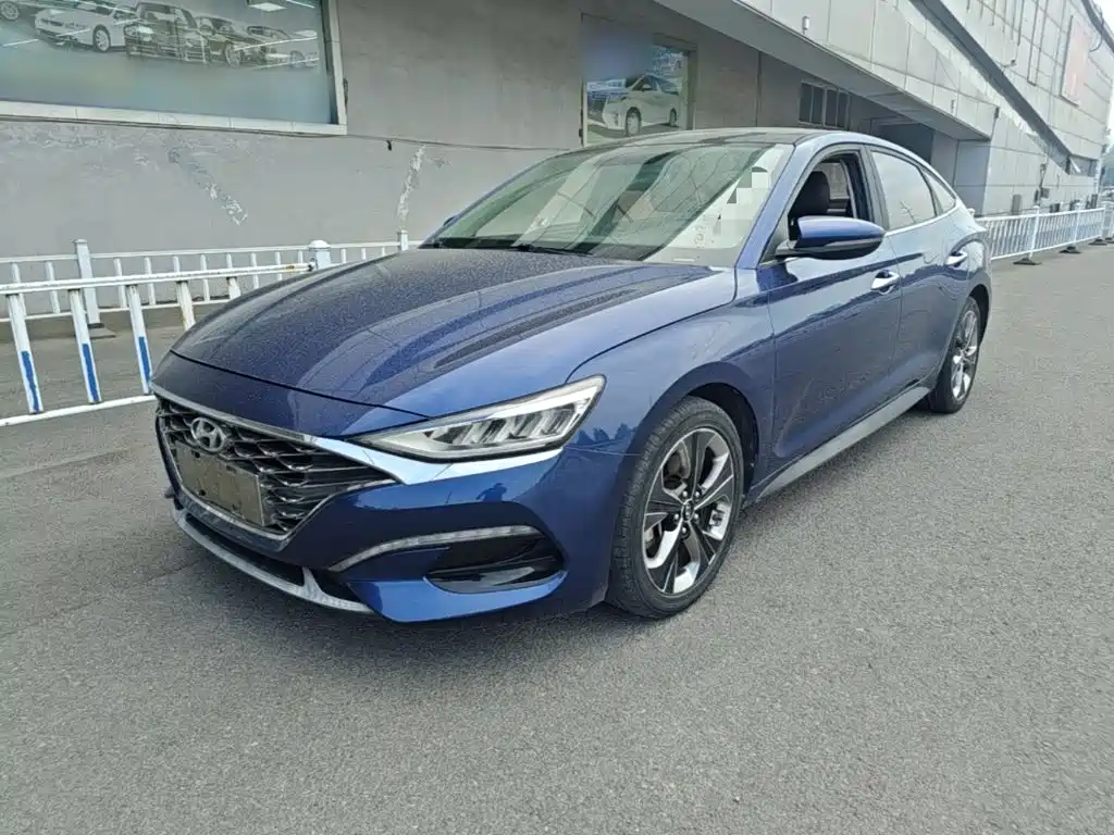 Hyundai Fista — фото 2