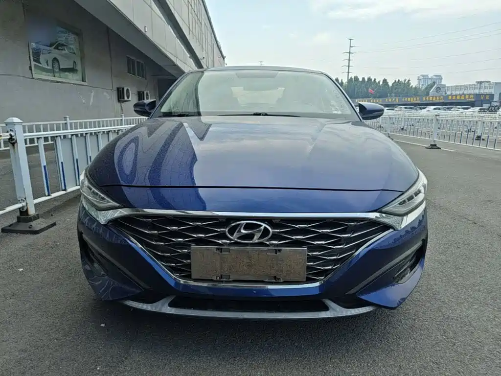 Hyundai Fista — фото 3