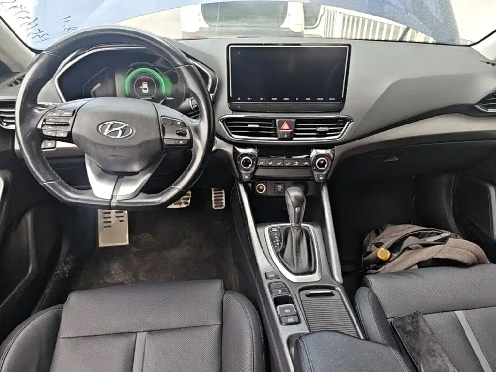 Hyundai Fista — фото 10