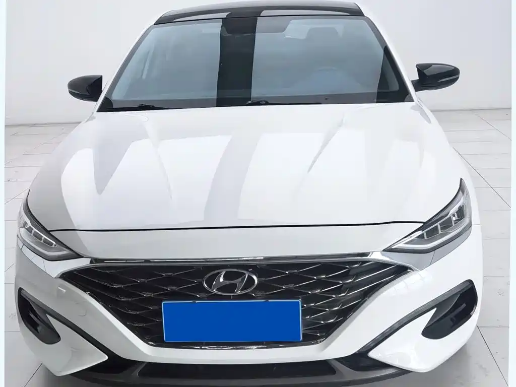Hyundai Fista — фото 2