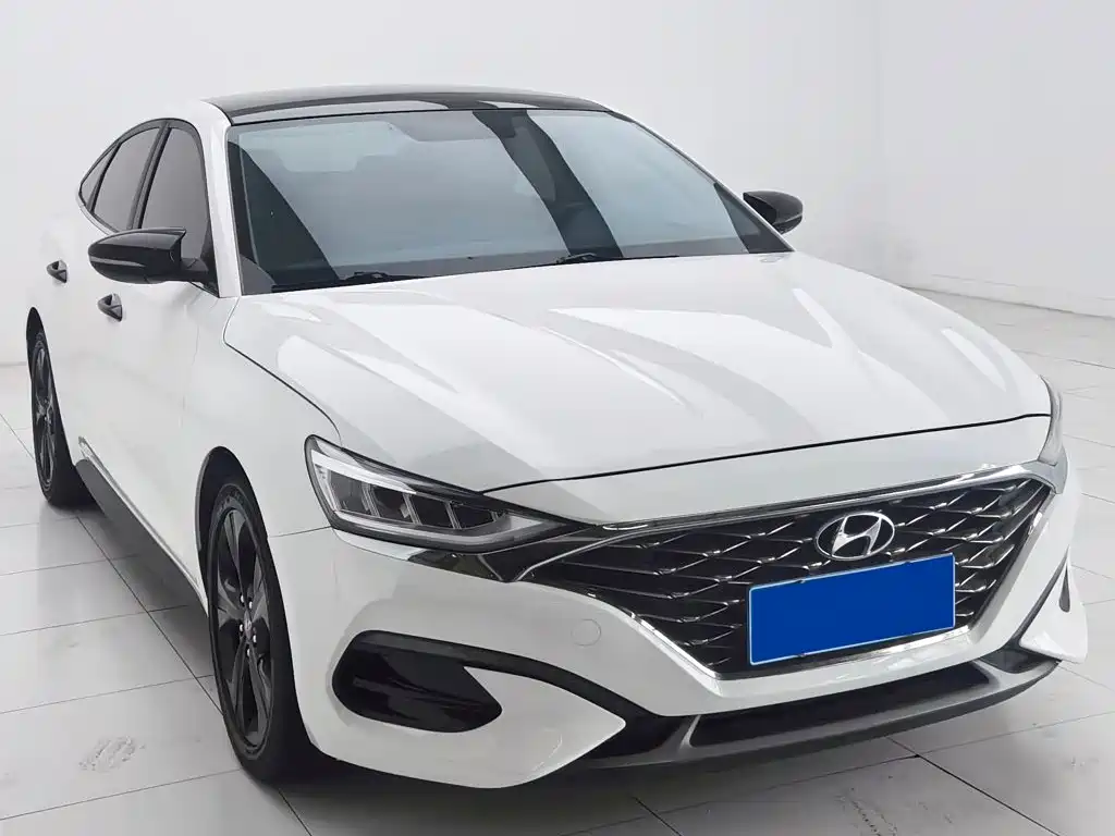 Hyundai Fista — фото 3