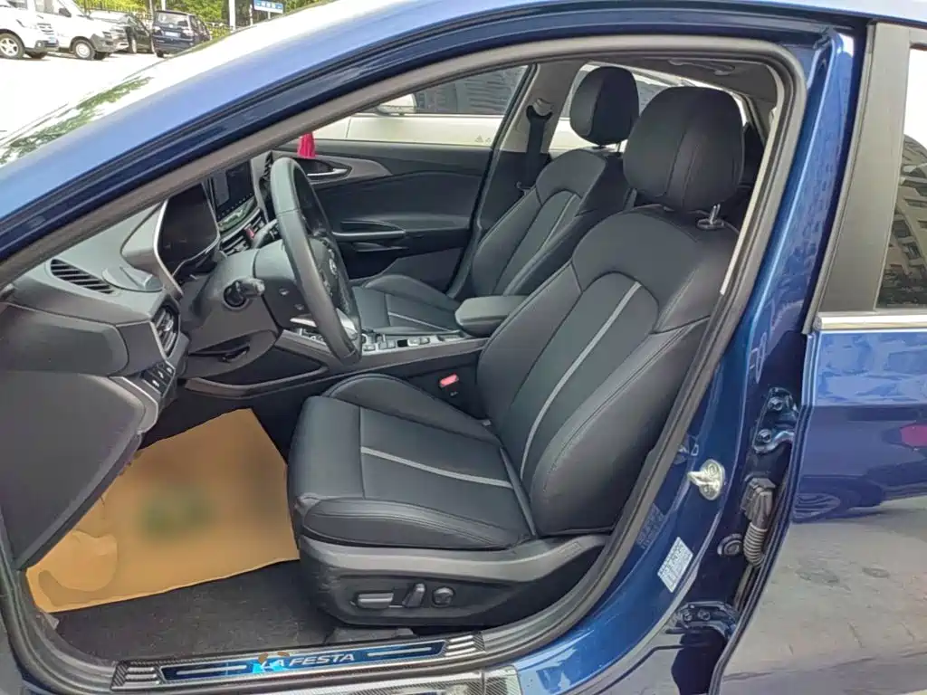 Hyundai Fista — фото 15